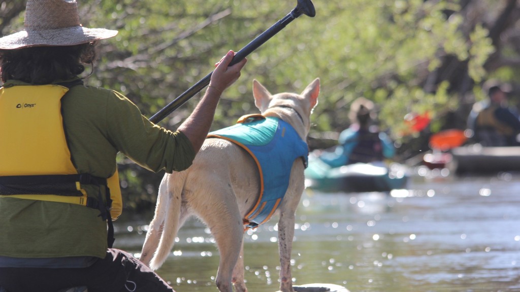 Ruffwear float hotsell coat review