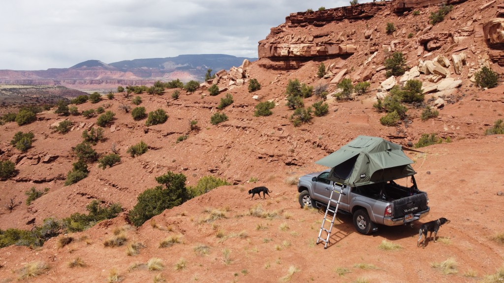 Pioneer Softshell Rooftop Tent - Extra Large - Cascadia Vehicle Tents