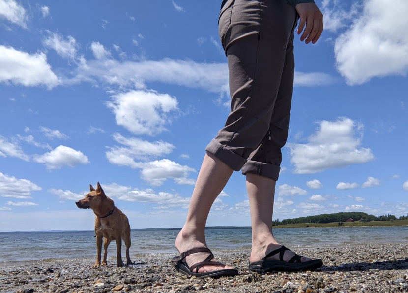 prana halle ii pant for women - the halle ii&#039;s feature two snaps that hold your rolled hems in...