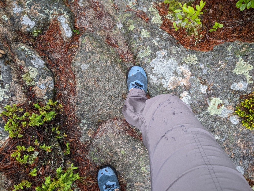 prana halle ii pant for women - when the drizzle stopped, we flicked the excess water off and the...