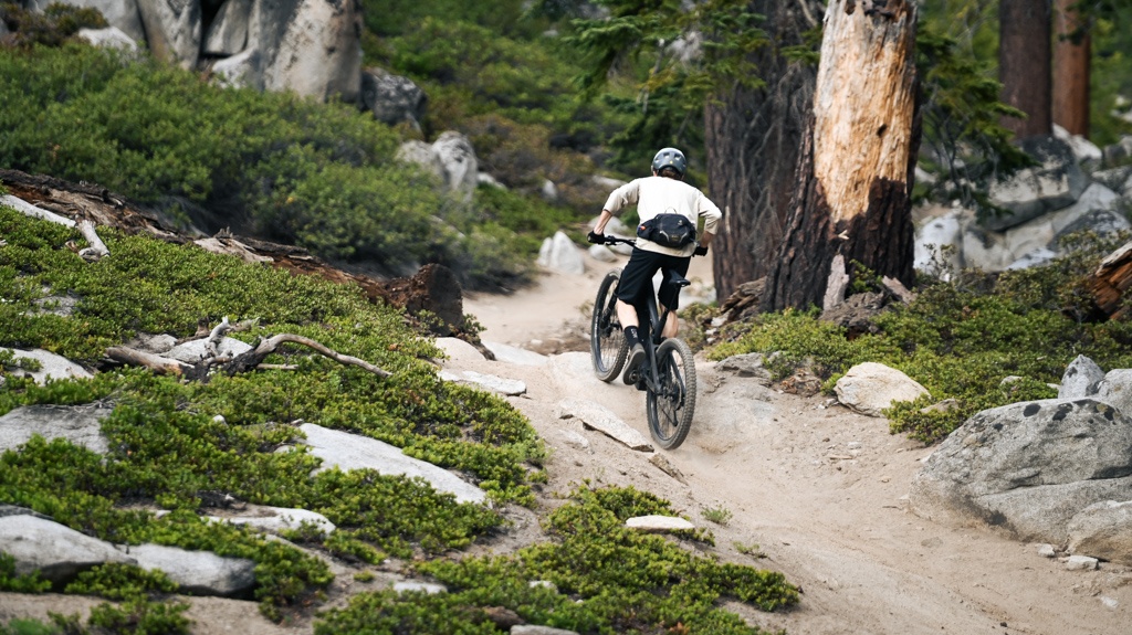 canyon spectral:on cf 8 - climbing on e-bikes is all about power, and the canyon spectral:on...