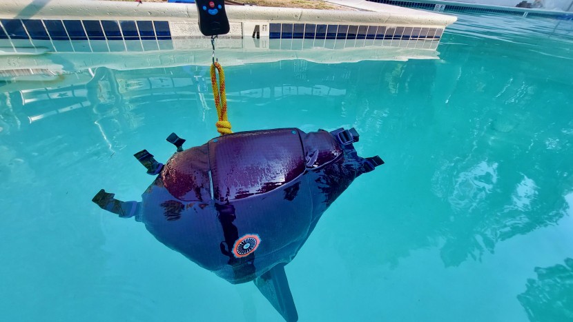 astral layla - the astral layla is designed to deliver 16.3lbs of buoyancy.