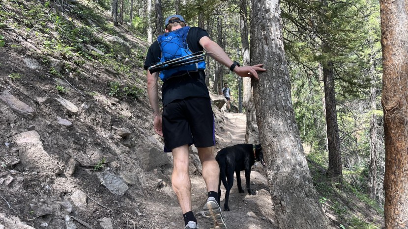 for longer sections when you don't plan to access your poles, the...