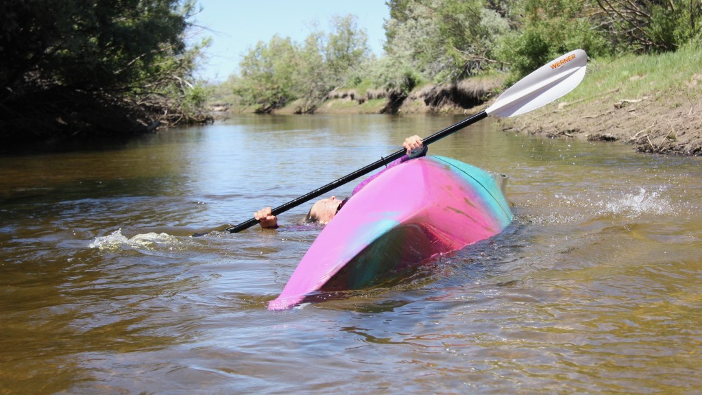 kayak - if you have learned how to execute a kayak roll, the dagger stratos...