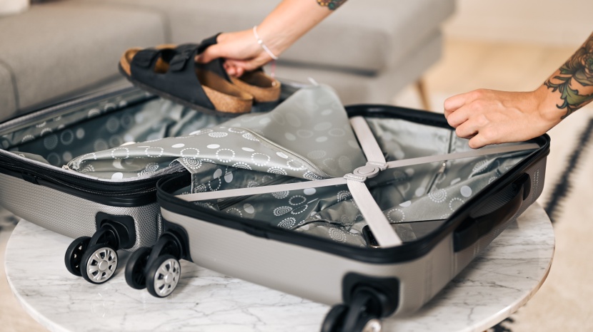 rockland melbourne 20 - a clamshell opening is a standard approach to a hardshell case...