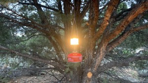 Camping World's Guide to Camp Lanterns - Camping World Blog