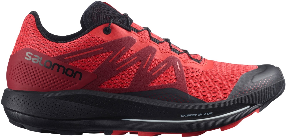 What's Behind the Salomon Hype Train?