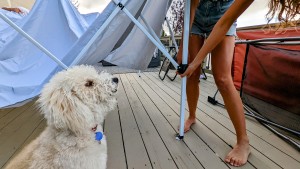 The Caravan's lightweight frame is easy to handle and slides into...