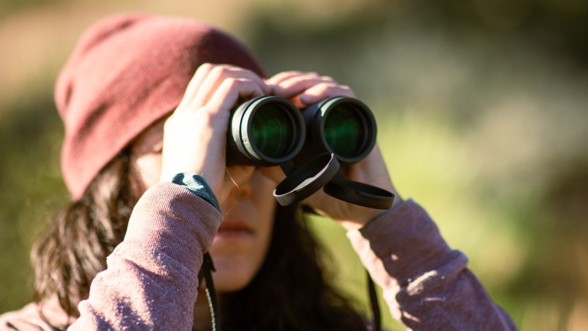 vortex viper hd 8x42 - the viper hd is worth your consideration before spending thousands...