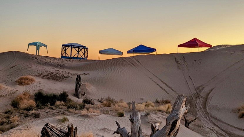 canopy tent - we conducted side-by-side  comparisons more times than we can count...