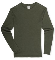 meriwool merino 250 long sleeve