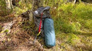 The Mineral King is the smallest and lightest tent in the lineup and...