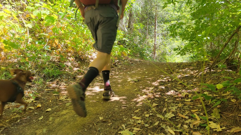 hiking socks - the smartwool performance light hike cushion didn&#039;t score highest in...