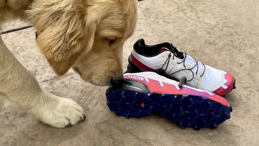 salomon speedcross 6 for women - sadie is wondering when she&#039;ll get to join for a muddy, rainy trail...