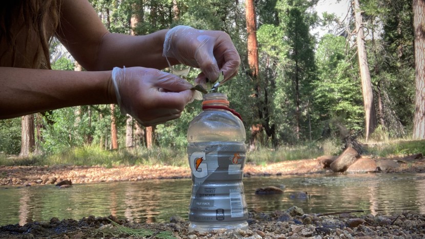 katadyn micropur purification tablets - the filtration process is easy, simply fill your bottle, drop your...