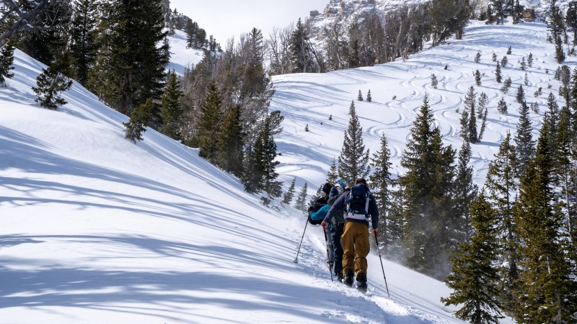 contour hybrid mohair - chasing down high teton powder snow with the contour hybrid mohair...