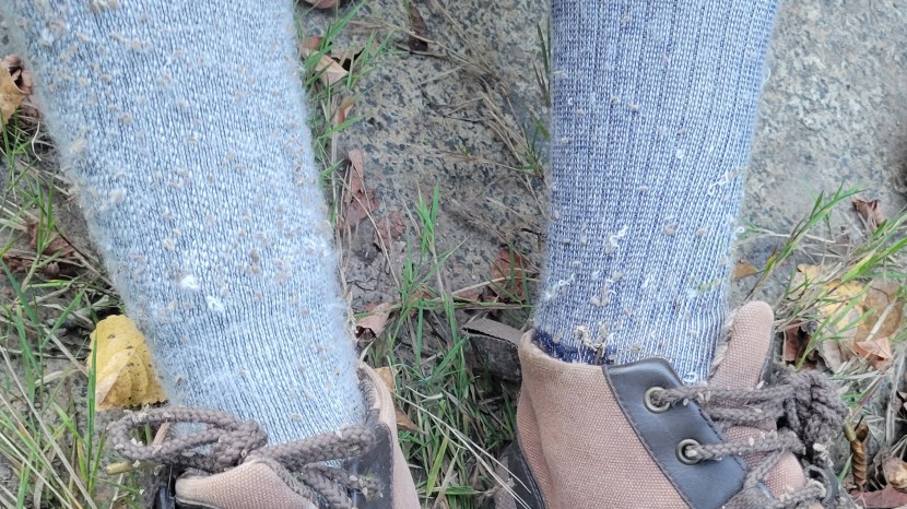 smartwool classic mountaineer maximum cushion - we inadvertently discovered that the smartwool classic mountaineer...