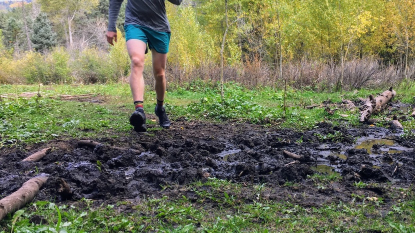 salomon speedcross 6 - what this shoe was made for: wet and muddy, off-trail routes. the...