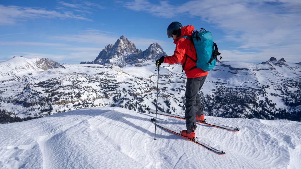 The Arva Neo Pro – Ooh la la. - The Backcountry Ski Touring Blog