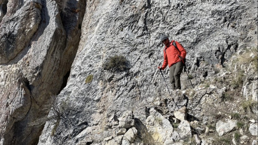 trekking poles - the trekology trek-z 2.0 is a great choice for everyday hiking and...