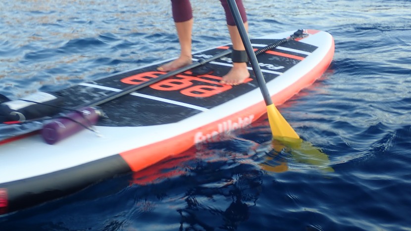 werner vibe - the vibe provides both power and maneuverability on the water