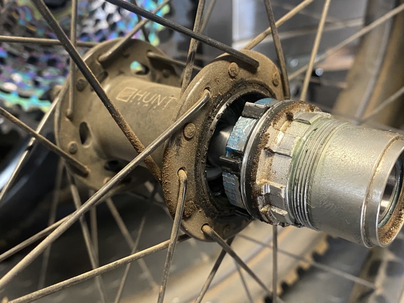 hunt trail wide mtb - freehub body seal doing its job, pawls and springs reamined clean...