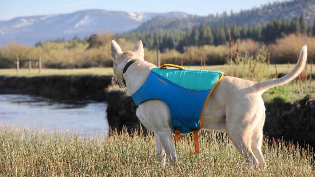 Ruffwear dog hot sale float coat