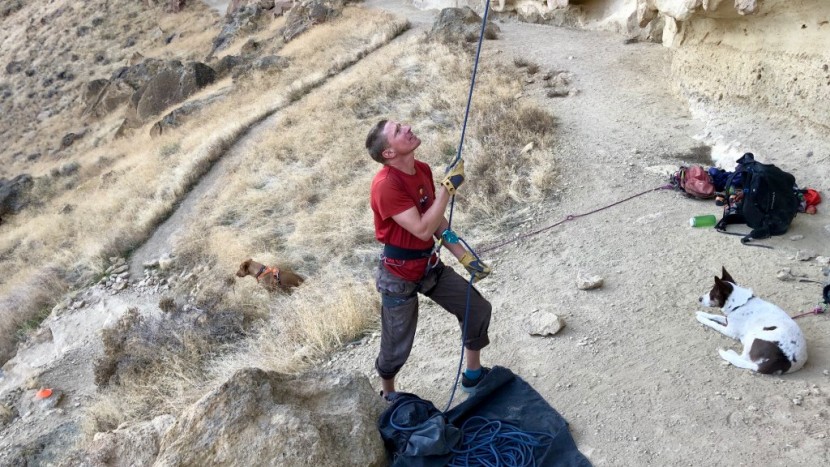 black diamond solution guide - the black diamond solution guide is a comfortable harness for...