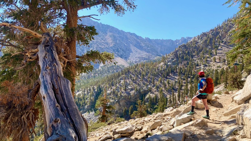 merrell siren edge 3 for women - rocky terrain meant a great deal of ankle movement and rolling in...