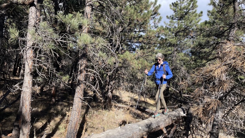 leki jannu fx ta - from the trail to bushwhacking and everything in between, these...