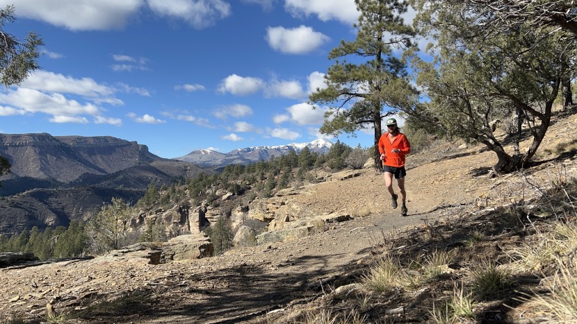 Garmin Forerunner 955 Review | Tested & Rated