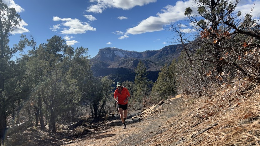 Garmin Forerunner 955 Review | Tested & Rated