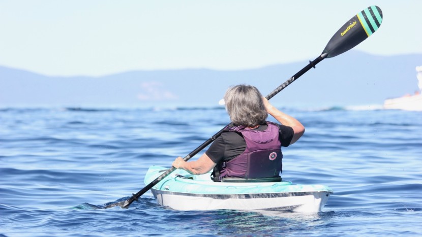 kayak paddle - the aluminum shaft and fiberglass reinforced blades on the badfish...