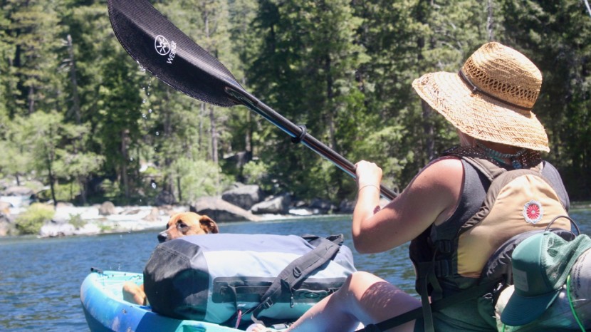 kayak paddle - the ultralightweight feel of the full carbon werner kalliste paddle...