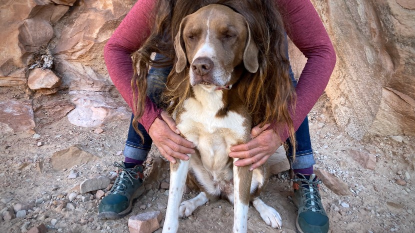 rei co-op midweight base layer crew for women - this synthetic base layer outperforms its affordable price tag.