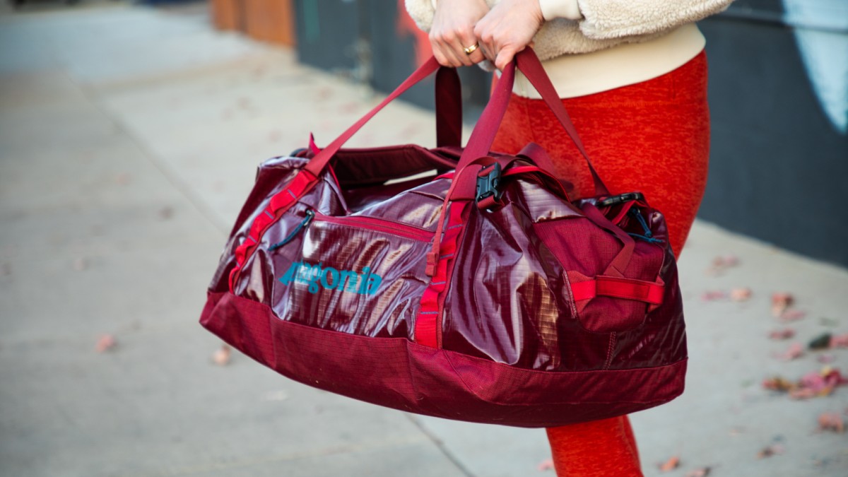 NWT Patagonia Black Hole Pack 25L Perennial Purple Travel Backpack Bag |  eBay