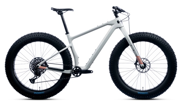 5 Best Fat Tire Bikes of 2024 - Reviewed