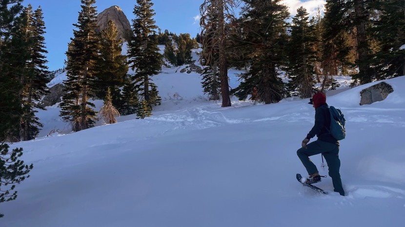 msr evo trail - the rigid deck let us make use of every last square inch in deep snow.