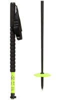 backcountry ski poles