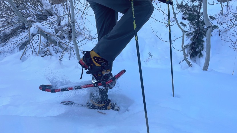 chinook trekker - this binding distributes the pressure nicely for mountaineering...
