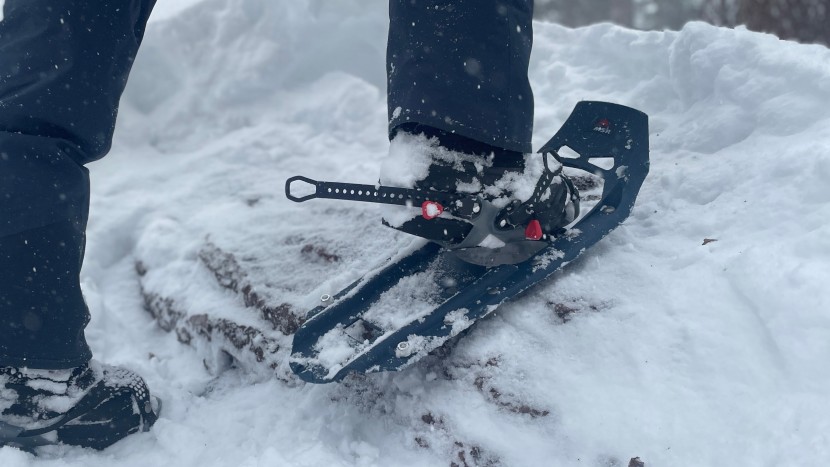 snowshoes - to evaluate traction we sought out more than just snow, hikers walk...