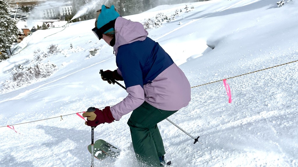Patagonia Women's Powder Town Ski/Snowboard Pants