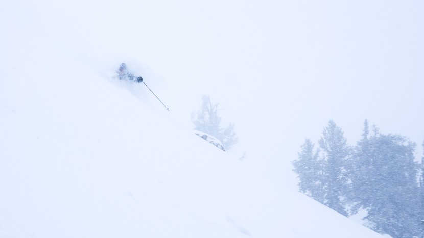 plum race 99 - the plum r99 could be mounted on a pair of ultralight powder skis...