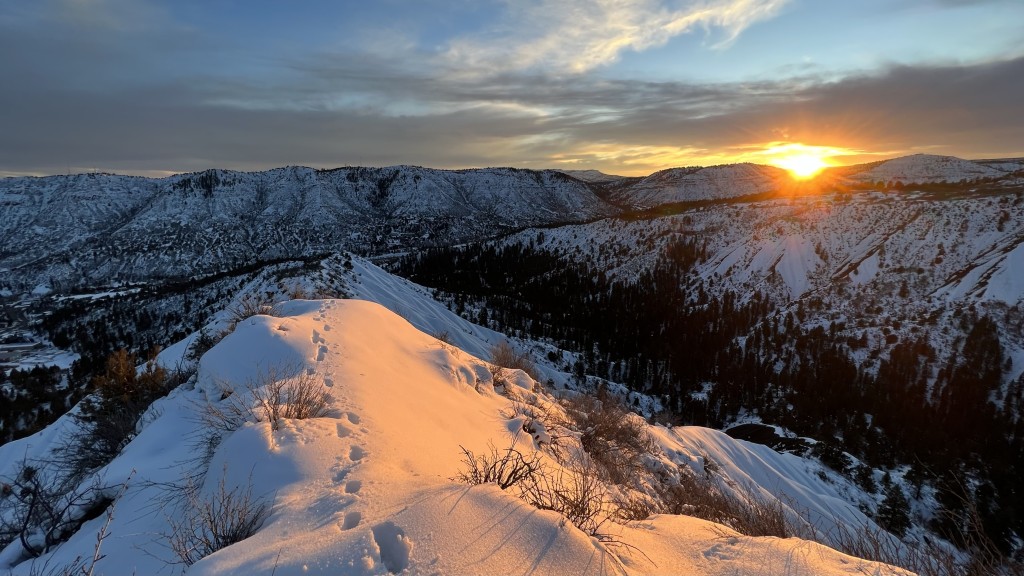 coros apex pro 2 - we hope our review of the coros apex pro 2 helped narrow down your...