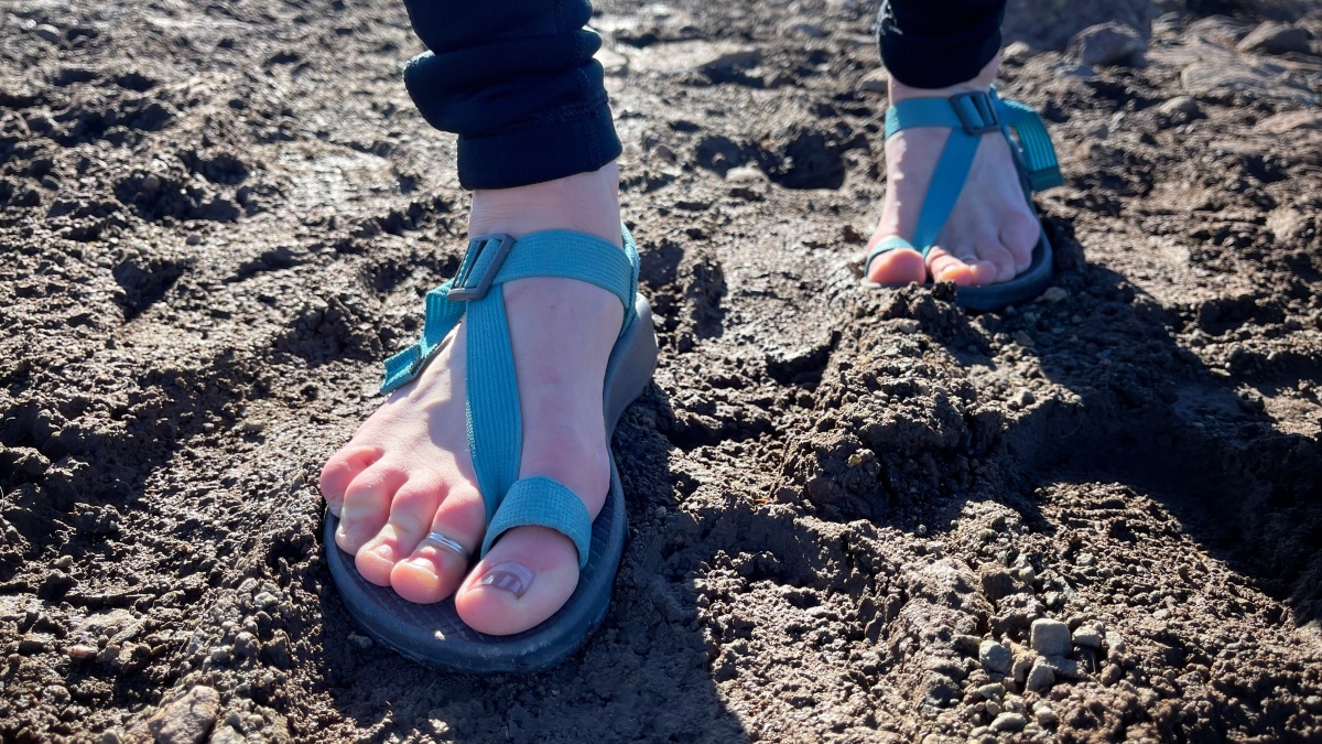 Chaco Bodhi - Women's Review (Through mud and sand, over mountains and boulders, the Bodhi kept us going in comfort and style.)