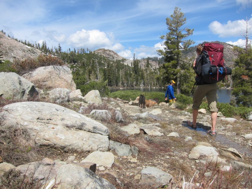 chaco z/cloud 2 for women - where will the chaco z/cloud 2 take you?