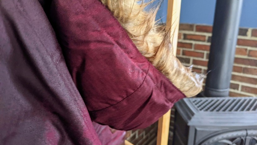 water clinging to the faux fur ruff.