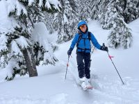 patagonia triolet for women