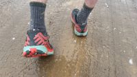 Rain, snow, or mud, you name it and we've run through it.