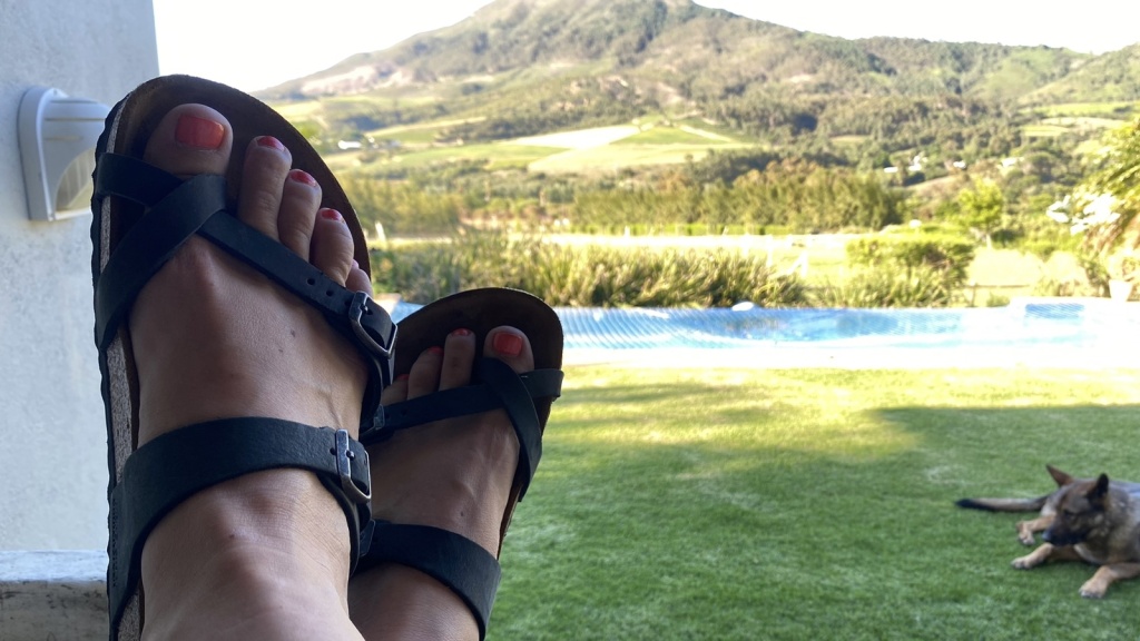 flip flops womens - the mayari offer an extra layer of classy leather straps that we...